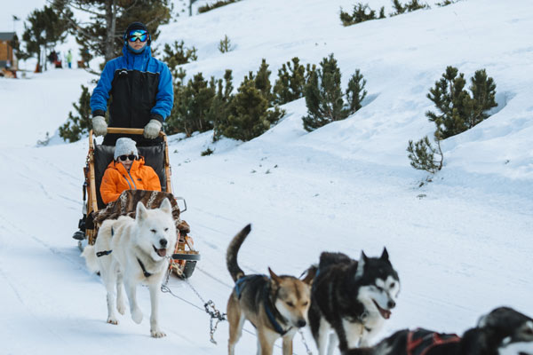 chien-de-traineau-andorre