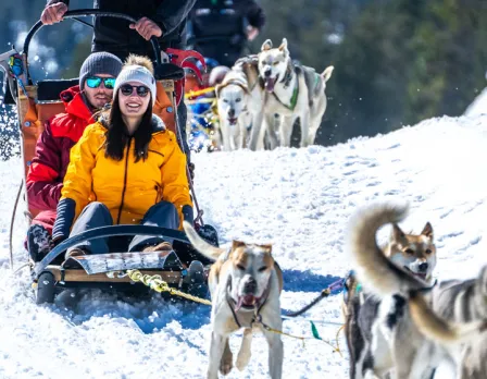 chien-de-traineau-andorre