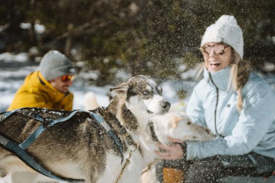 chiens de trineau grandvalira